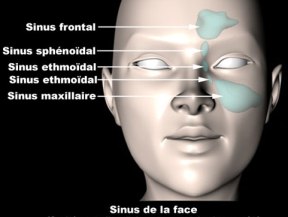 Film rencontre du troisième type streaming