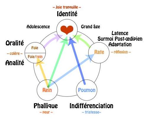 18 rencontre de pediatrie pratique