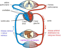 download tribology in