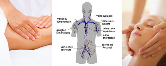 Drainage lymphatique manuel | Médecine intégrée Drainage lymphatique manuel | Médecine intégrée