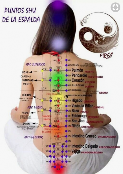 Zu San Li Le Point D Acupuncture Magique Combinaisons de points | Médecine intégrée