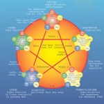 Portail des Médecines Alternatives