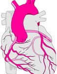 Angor et Infarctus