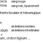 Maladies inflammatoires chroniques de l’intestin