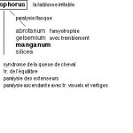 Sclérose en plaques