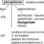 la SLA ou “maladie de Charcot”