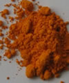 Curcuma xanthorrhiza