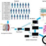 Examens biophysiques