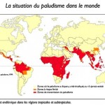 Le paludisme
