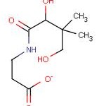 Vitamine B5