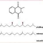Vitamine K