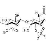 Glucosamine et Chondroïtine