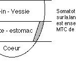 La langue