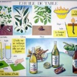 Les huiles végétales