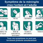 Vaccins méningites HIB / A + C et B