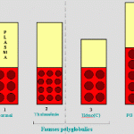 Polyglobulie