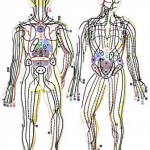 Le Shiatsu