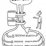 Biologie de la douleur