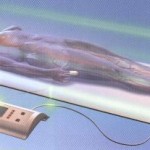 Appareils de résonnance magnétique pulsée