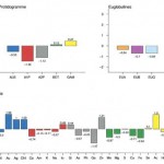 Les “maladies métaboliques”
