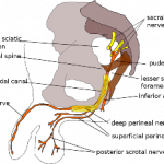Douleurs du sacrum