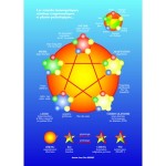 Les posters d’homéopathie