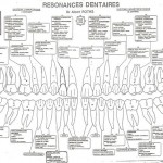 Neural : cas cliniques dentaires