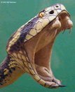 Bothrops lanceolatus