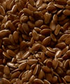 Linum usitatissimum