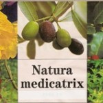 Introduction à la Botanique