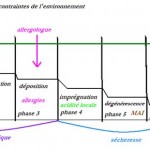 Principaux remèdes selon les phases