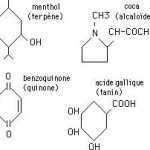 Pharmacopée végétale