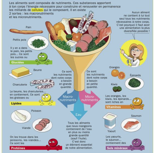 La Biochimie Marieb Ch2c Médecine Intégrée - 
